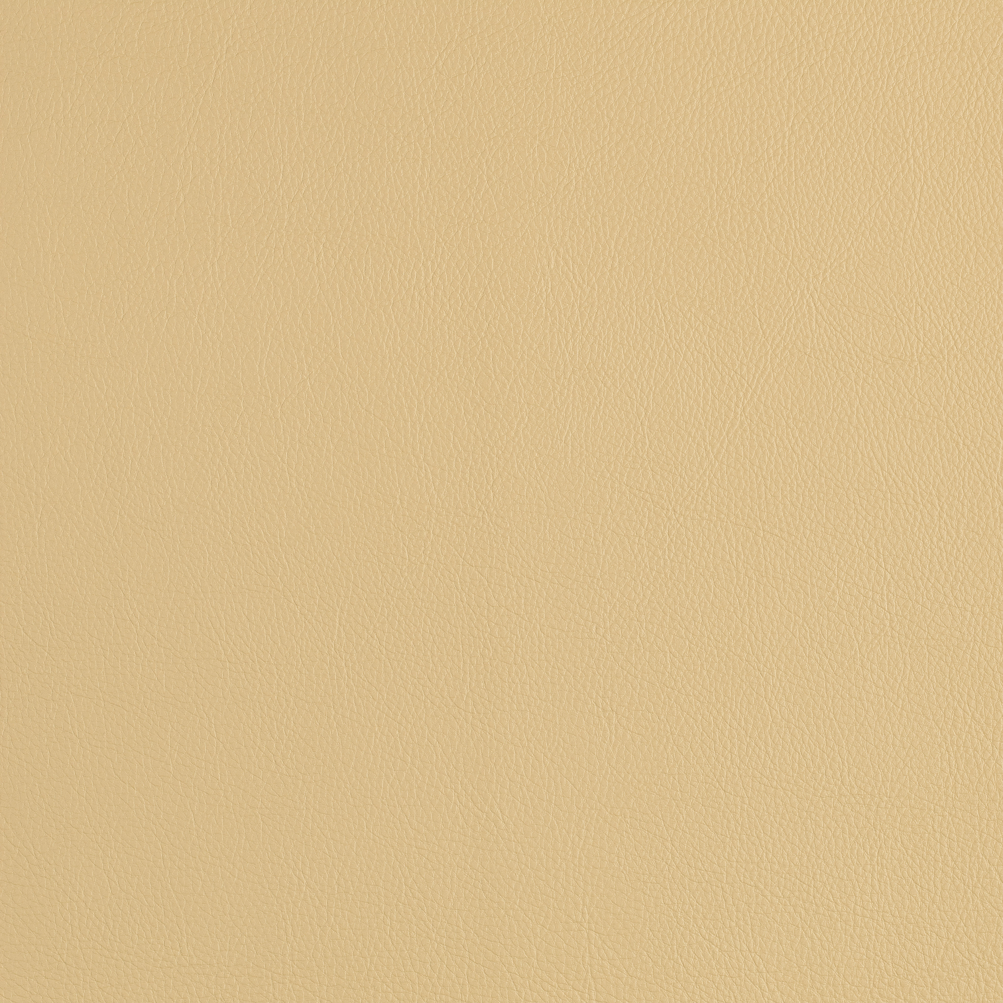 Cassidy 2.0 - Lime | HON Office Furniture